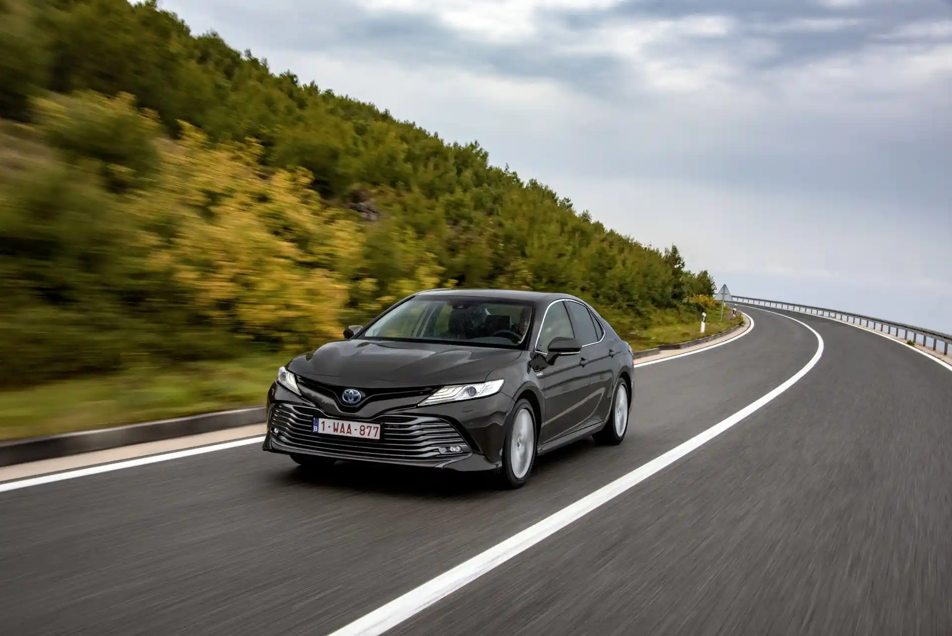Premium chauffeur-driven sedan